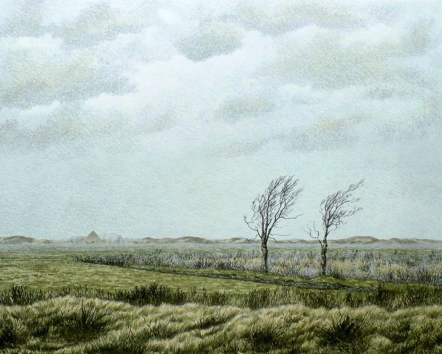 Edgar Fernhout - Litho: Noord Hollands landschap kopen? Bied vanaf 20!