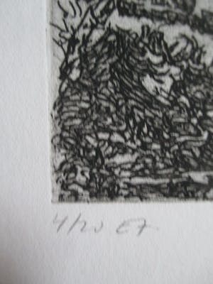 Gerard Bellaart - Ets landschap kopen? Bied vanaf 15!