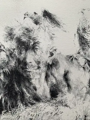 Jan Mensinga - Litho Oude Man met Vogels kopen? Bied vanaf 35!