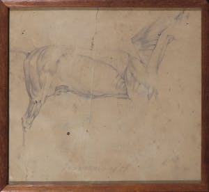 Niet of onleesbaar gesigneerd - Potlood, Anatomie van een paard - Ingelijst kopen? Bied vanaf 10!