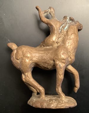 Kees de Kruijff - Amazone kopen? Bied vanaf 175!