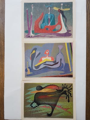 Harry van Kruiningen - Lot van 3 handgesigneerde kleurenlitho's kopen? Bied vanaf 75!