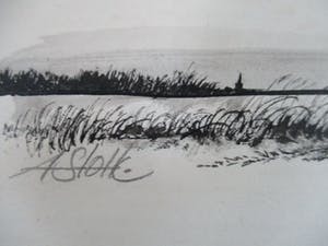 Ari Stolk - Pentekening: vogels in vlucht kopen? Bied vanaf 10!