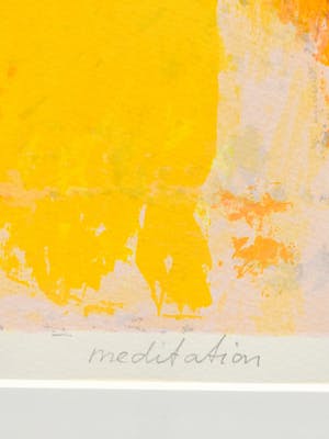 Hans Vanhorck - Meditation kopen? Bied vanaf 50!