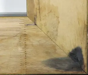 Eric Guo - foto op dibond, Facing each other III - Ingelijst kopen? Bied vanaf 1!