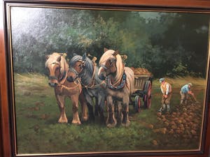 Hub Van Winkel - Bietenoogst in de Ardennen. kopen? Bied vanaf 100!