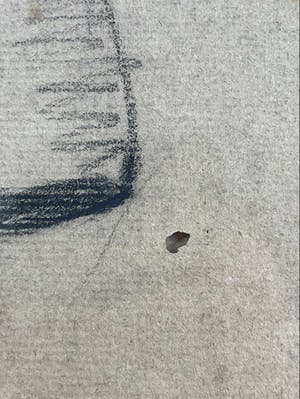 Hendricus Dievenbach - Postbesteller kopen? Bied vanaf 60!