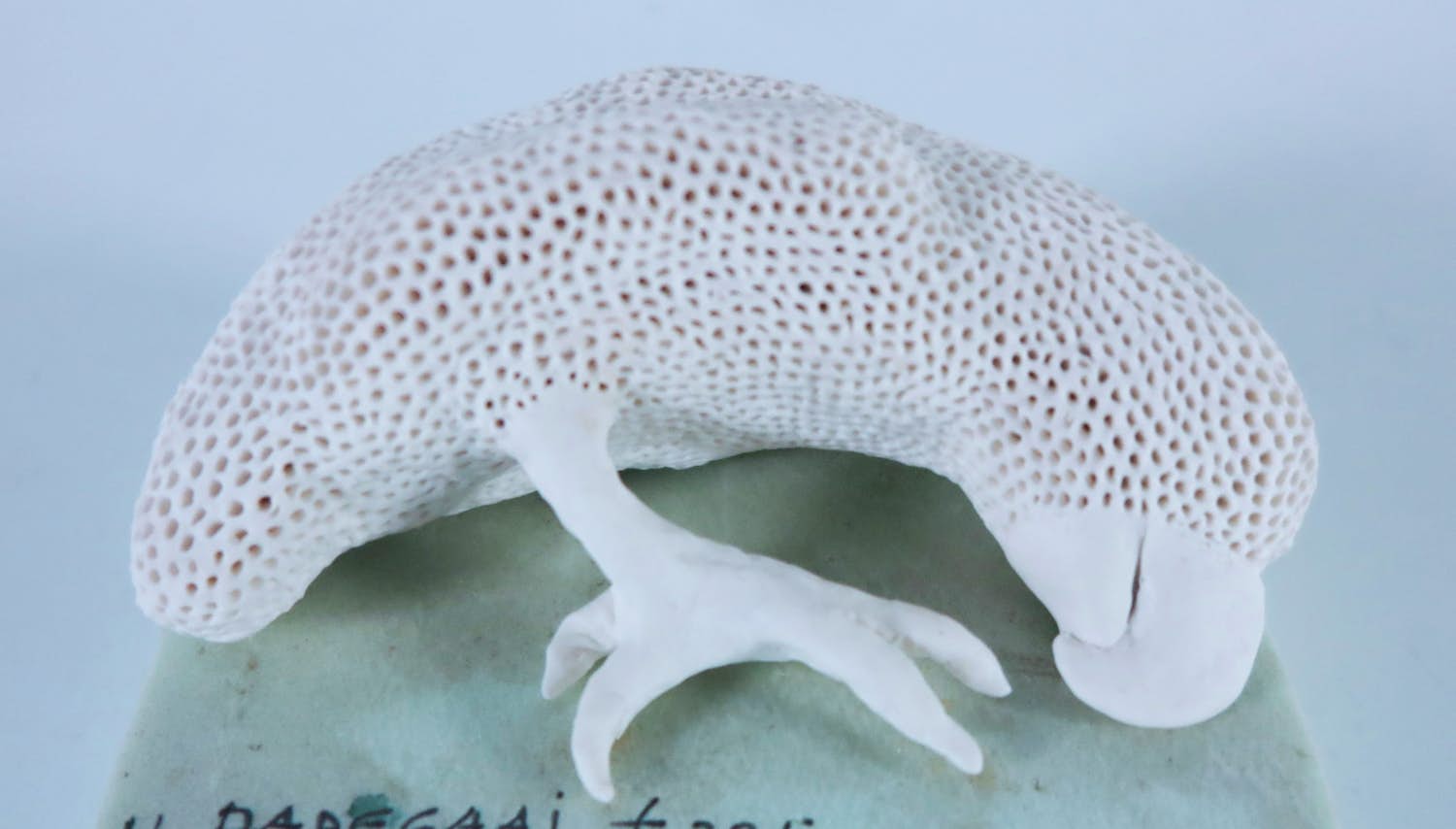 Kathja Smits - Porselein, Papegaai kopen? Bied vanaf 100!