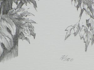 Peter Vos - Uil in boomtop - Litho kopen? Bied vanaf 100!