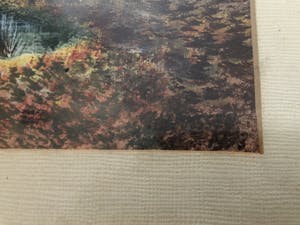 Niet of onleesbaar gesigneerd - Beek in het bos kopen? Bied vanaf 1!