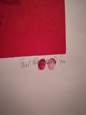 Fon Klement - Fuchsia kopen? Bied vanaf 100!