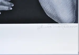 Jef van Tuerenhout - De Spiegel - Zeefdruk - Gesigneerd - 54x42 cm - 1977 kopen? Bied vanaf 120!