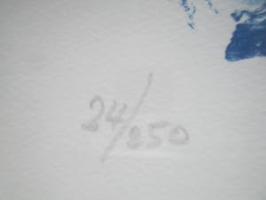 Pieter Defesche - Ingelijste litho kopen? Bied vanaf 70!