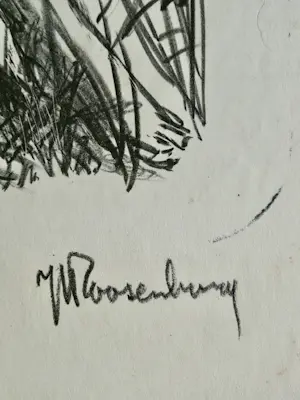 Jopie Roosenburg-Goudriaan - Litho kopen? Bied vanaf 10!