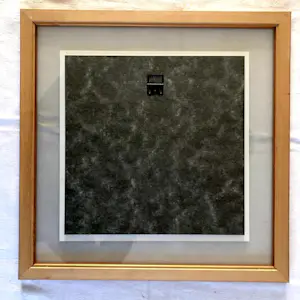 Niet of onleesbaar gesigneerd - Zonnebloemen - Fotografie, Ingelijst kopen? Bied vanaf 1!