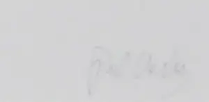 Paul Versteeg - Foto, Research - Ingelijst (Groot) kopen? Bied vanaf 1!
