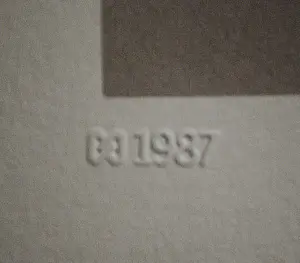 Jeroen Henneman - Uit het leven der dingen: een kanarie - zeefdruk - mooi ingelijst kopen? Bied vanaf 150!