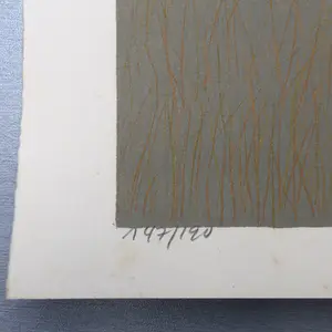 Antonio Segui - Olifant kopen? Bied vanaf 15!