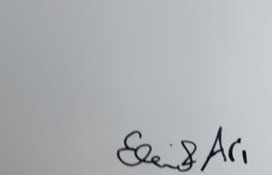 Ari Versluis - & Ellie Uyttenbroek - Exactitudes "Flowerpower - Rotterdam 2007" kopen? Bied vanaf 150!