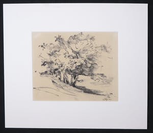 Wim Steijn - Krijttekening, Landschap kopen? Bied vanaf 35!