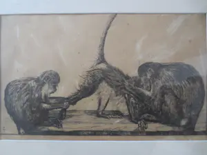 Dirk Homberg - 2x Langoeren Java en Oud Batavia kopen? Bied vanaf 250!