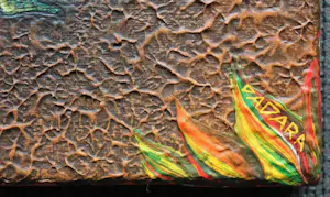 Dadara - Acryl op doek: Frog + ingelijste zeefdruk: Frog kopen? Bied vanaf 1299!