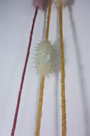 Jürgen Reichert - Set van drie siliconen lampen, 'Lichtwesen' kopen? Bied vanaf 350!