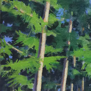 Willem Visser - Naaldbomenbos kopen? Bied vanaf 130!