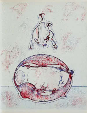 Buy Max Ernst - "Après moi" Original-Farblithografie 1971 Spies/Leppien Nr. 202 D? Bid from 90!