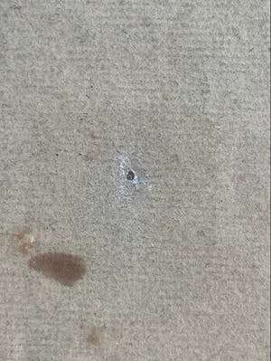 Hendricus Dievenbach - Postbesteller kopen? Bied vanaf 60!