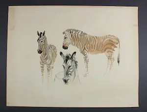 Jan A.M.J. Hurx - Zebra's kopen? Bied vanaf 25!