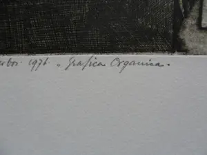 Peter Oosterbos - Ets, Titel "Grafica Organica kopen? Bied vanaf 30!