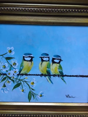 Henk Poeder - Vogels kopen? Bied vanaf 99!