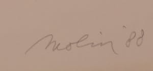 Lei Molin - Litho, Niké kopen? Bied vanaf 100!