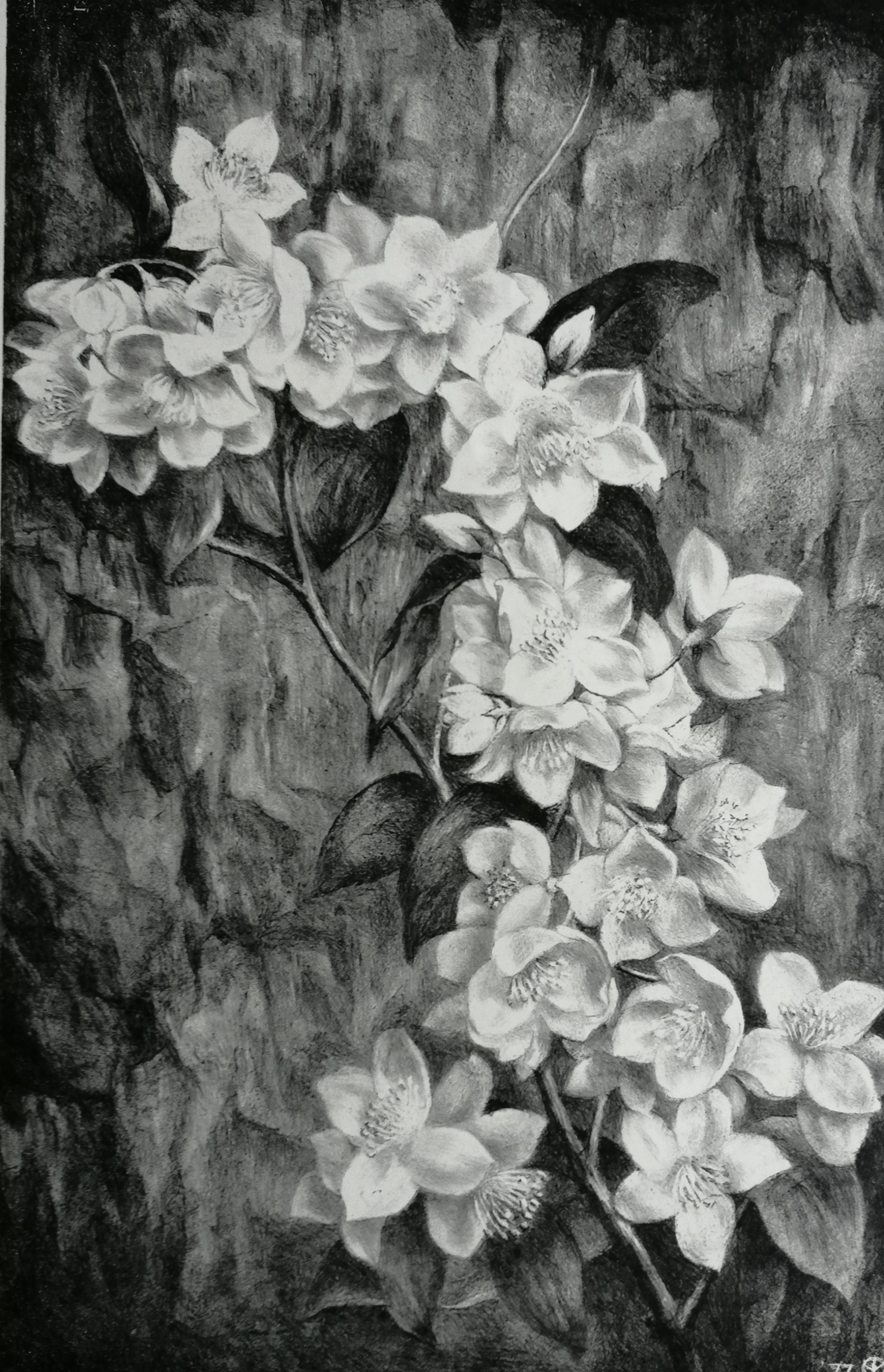 Aart van Dobbenburgh - Tak met bloesem kopen? Bied vanaf 20!