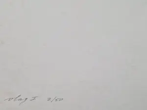 Jan van Zonneveld - in beperkte oplage (50) gemaakte geometrische zeefdruk "VLAG I" gesign kopen? Bied vanaf 35!