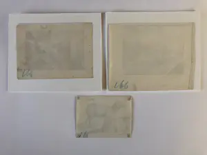 Karel Dujardin - Drie zwijnen (en nog twee etsen Berchem) kopen? Bied vanaf 30!