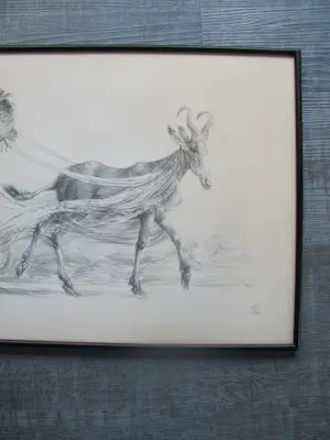 Peter Vos - Geit en vogel kopen? Bied vanaf 90!