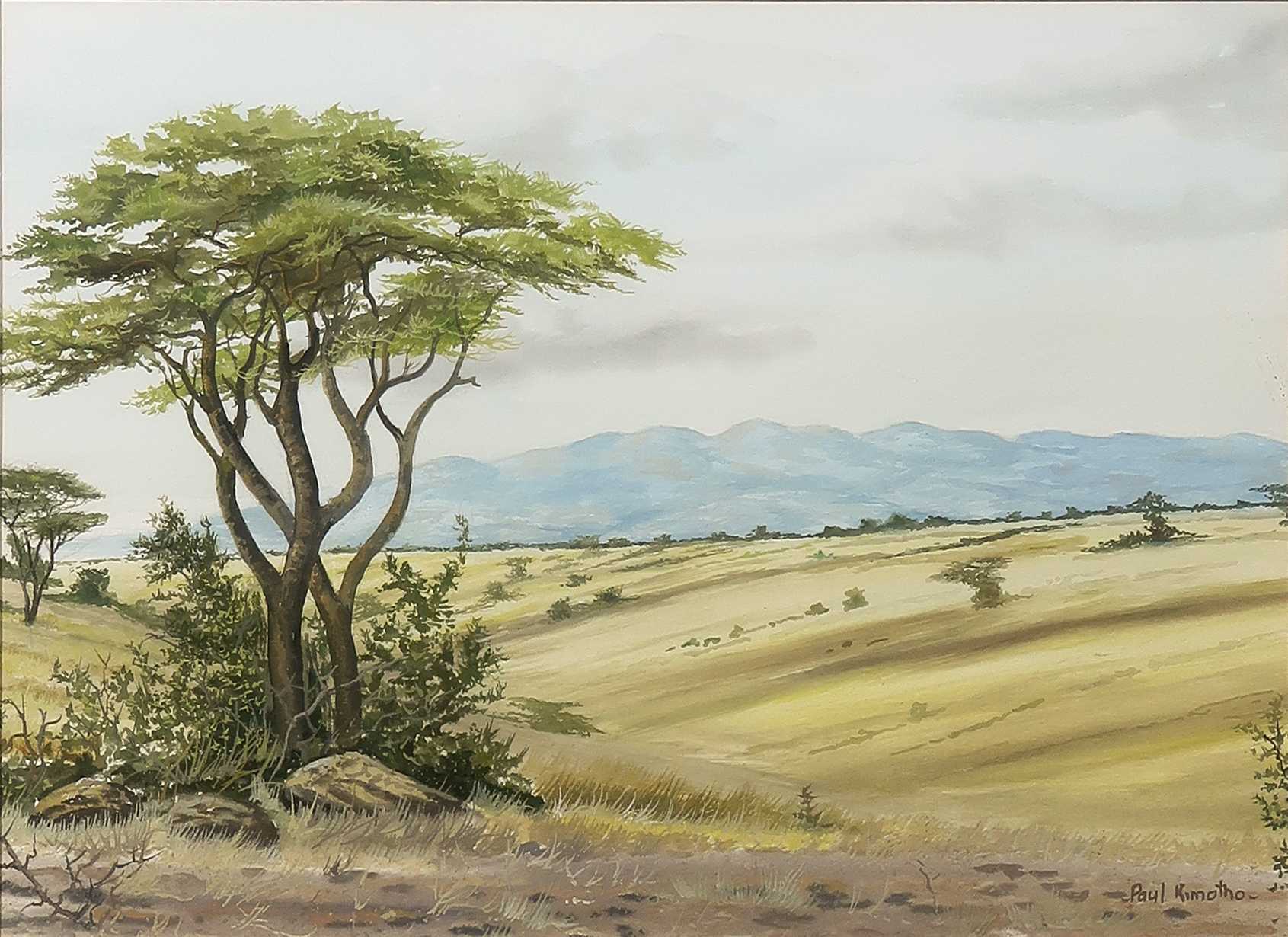 Niet of onleesbaar gesigneerd - Gouache, Landschap - Ingelijst kopen? Bied vanaf 1!