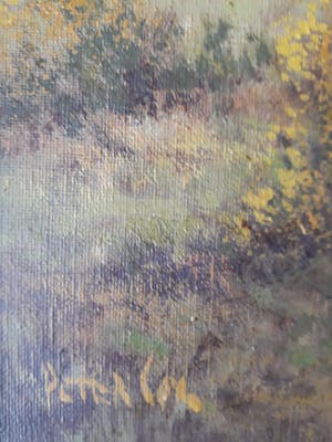 Peter Cox - Berkengroep langs bospad kopen? Bied vanaf 100!