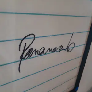 Panamarenko - Luchtballonvaarder kopen? Bied vanaf 1450!