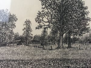 Wil Rombouts - Inkttekening (25 x 20 cm) 1978 kopen? Bied vanaf 1!