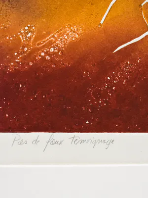 Francis Mean - Pas De Faux Temoignage kopen? Bied vanaf 50!