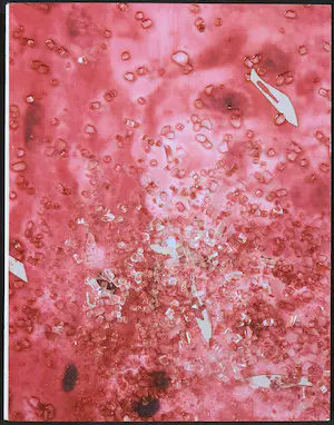 Damien Hirst - Gesigneerd boek - Beyond Belief kopen? Bied vanaf 1!