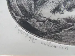 Ton Diekstra - Kuiken in ei kopen? Bied vanaf 55!