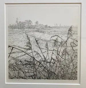 Reinder Homan - Ets, Landschap met riet in de polder ‘88 kopen? Bied vanaf 50!