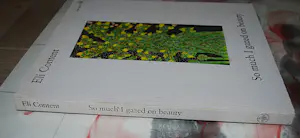 Eli Content - zeldzame affiche uit 1998 & tentoonstellingsgids 2019 kopen? Bied vanaf 125!