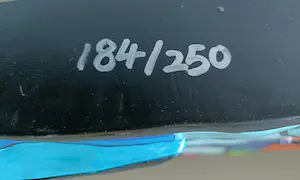 Jacqueline Schäfer - Blue Duck kopen? Bied vanaf 49!