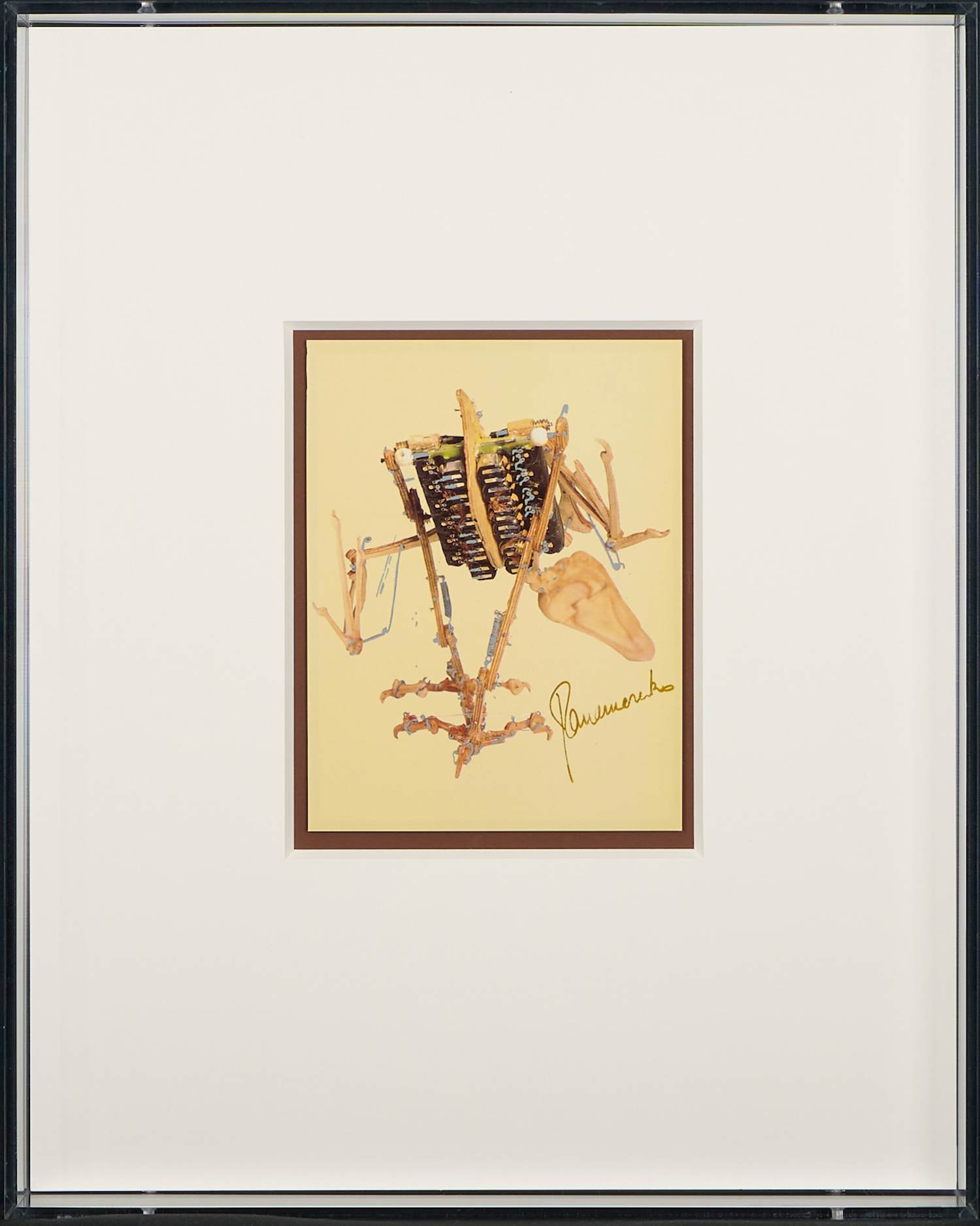 Panamarenko - Gesigneerd, Archaeopterix - Unieke vogel door Panamarenko in plexi showcase kopen? Bied vanaf 590!