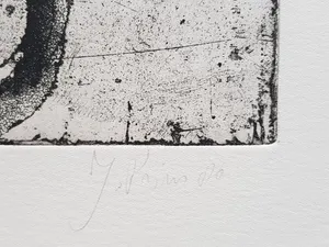 Jan Prins - Prachtige Ets - Gesigneerd in potlood kopen? Bied vanaf 15!